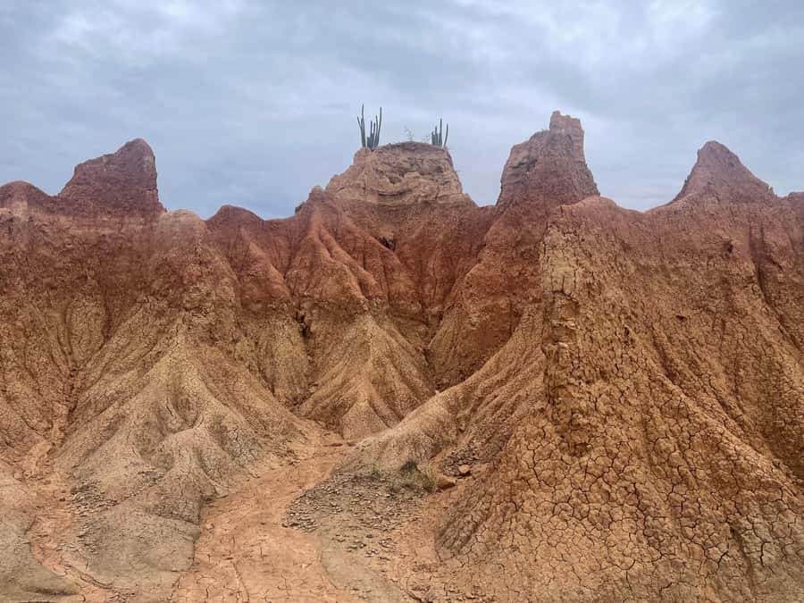 Villavieja: Tatacoa Desert Horseback Riding Tour - Who should book this ride?
