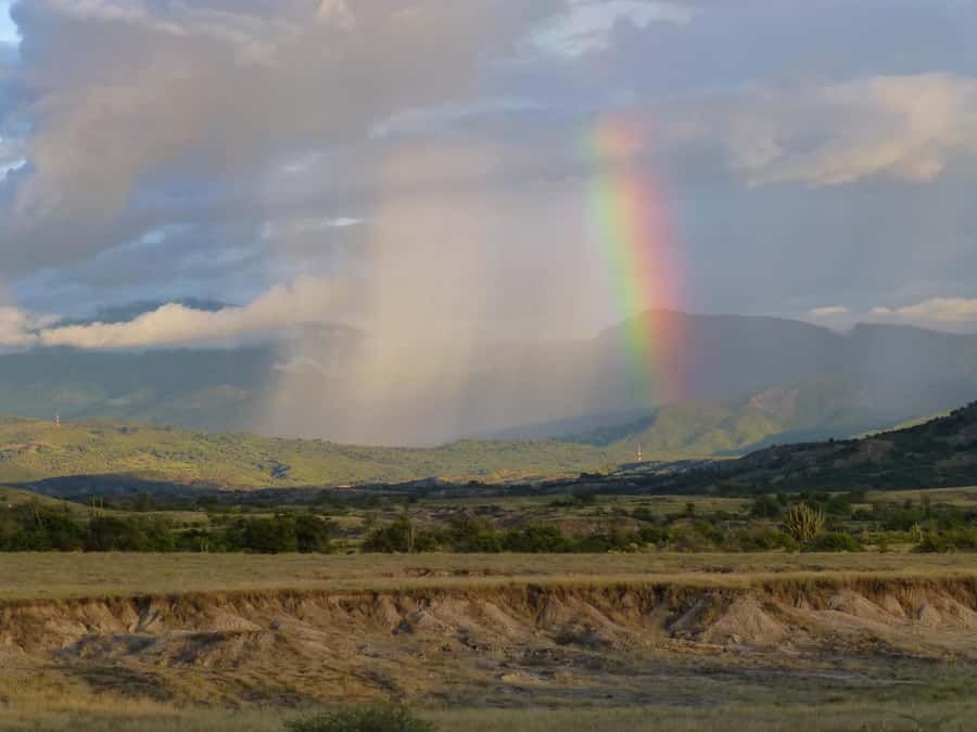 Villavieja: Tatacoa Desert Horseback Riding Tour - Useful planning details for Villavieja