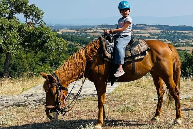Visit a Farm and Horseback Riding in Nature - Key Points Before You Book