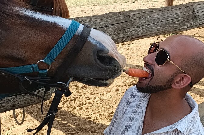 Visit a Farm and Horseback Riding in Nature - What Makes the Setting Special