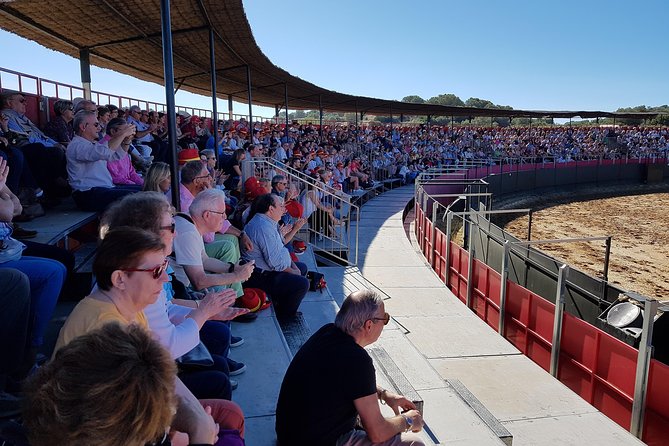 Visit Alvaro Domecq Horses and Brave Bulls in Freedom - Why the Spanish horses matter