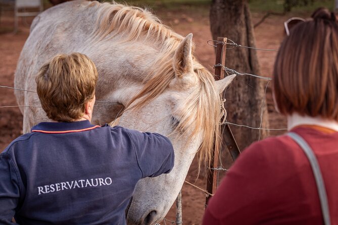 Visita Entre Toros y Caballos - Seeing the ranch from the passenger trailer
