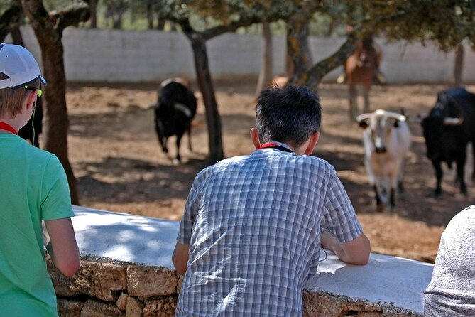 Visita Entre Toros y Caballos - Meeting the horses and learning about bull development