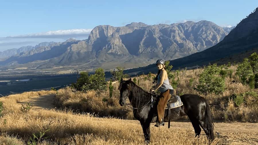 Vrede en Lust Wine Estate:1-Hour Horseback Riding Experience - Why horseback riding suits Franschhoek