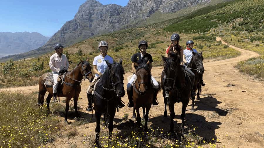 Vrede en Lust Wine Estate:1-Hour Horseback Riding Experience - Meeting the horses and preparing to ride