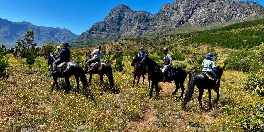 Vrede en Lust Wine Estate:1-Hour Horseback Riding Experience - Is $75 a fair price?