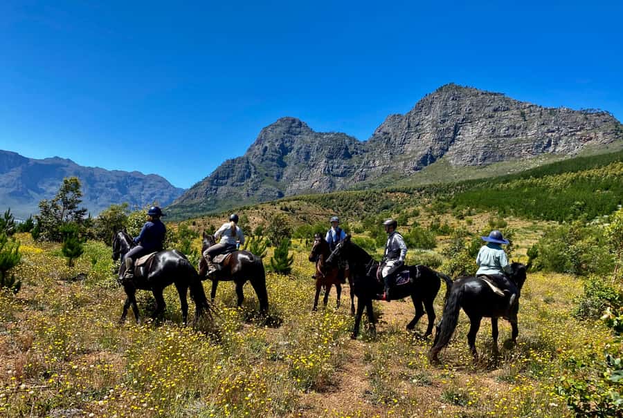 Vrede en Lust Wine Estate:1-Hour Horseback Riding Experience - Who should book this ride?