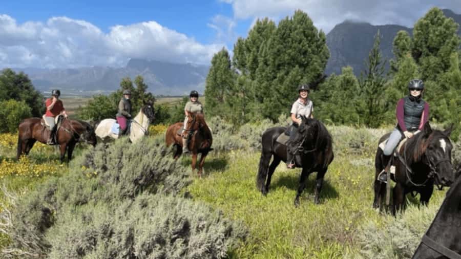 Vrede en Lust Wine Estate: 1h30m Horse Trail Ride - Key Points Before You Book