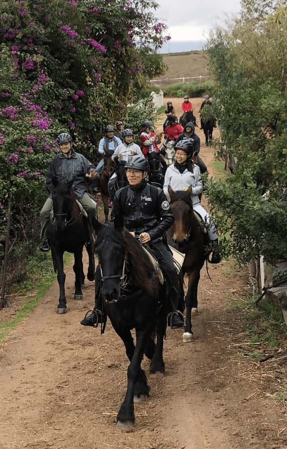 Vrede en Lust Wine Estate: 1h30m Horse Trail Ride - Riding Into the Franschhoek Valley