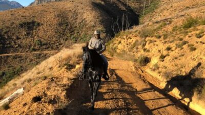 Vrede en Lust Wine Estate: 1h30m Horse Trail Ride