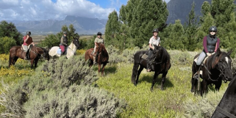 Vrede en Lust Wine Estate: 1h30m Horse Trail Ride - Who Should Book This Ride