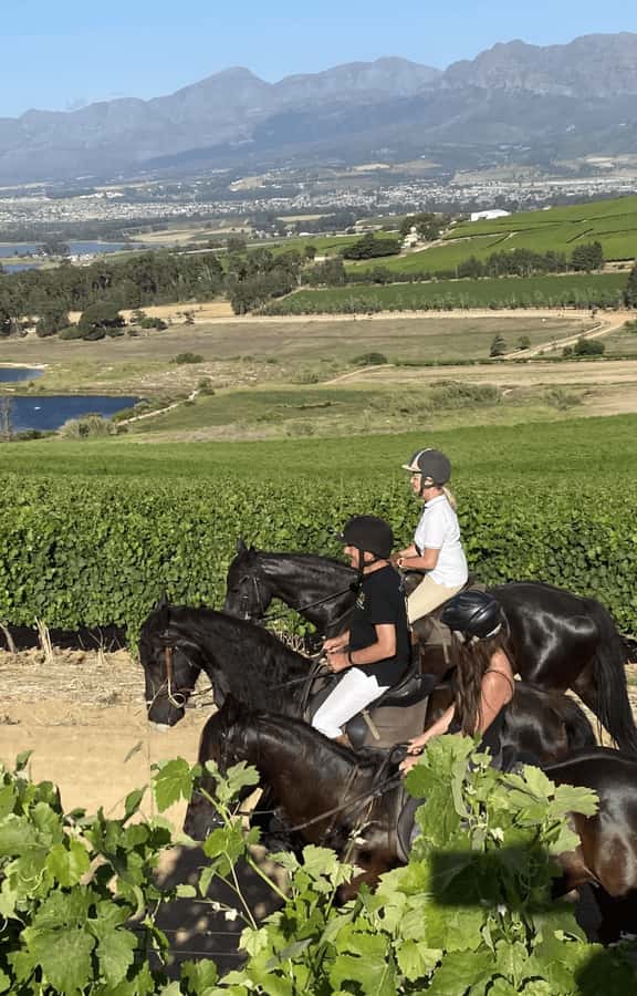 Vrede en Lust Wine Estate: 2H Horse Trail - Key points to know before you saddle up