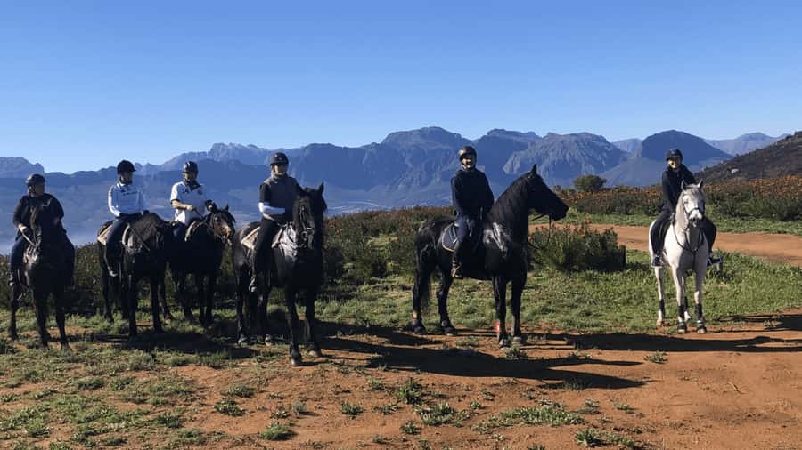 Vrede en Lust Wine Estate: 2H Horse Trail - Riding into the Franschhoek valley