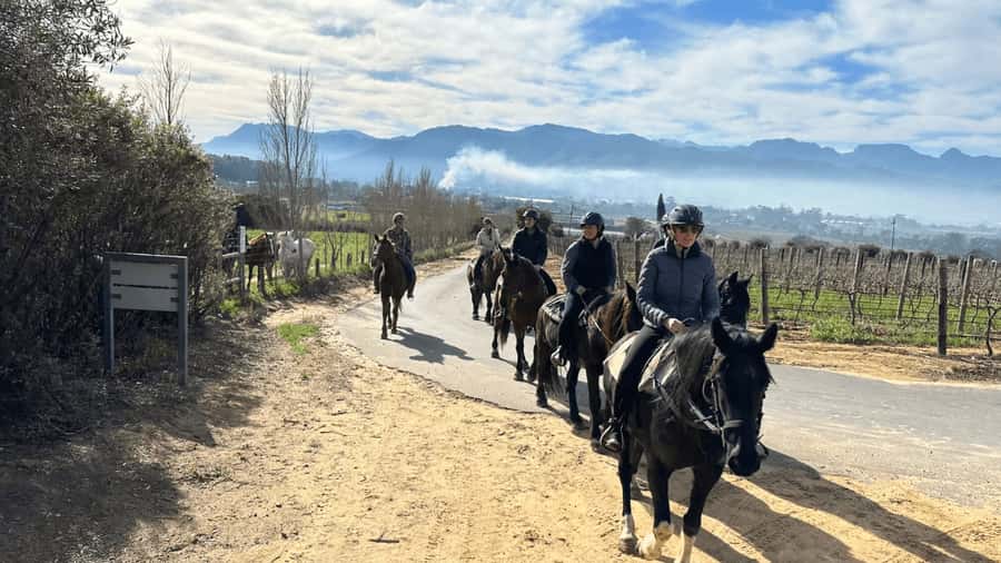 Vrede en Lust Wine Estate: 2H Horse Trail - The first part of the two-hour trail