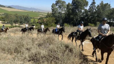 Vrede en Lust Wine Estate: 2H Horse Trail