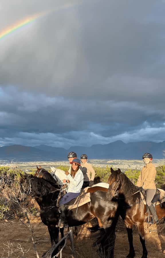 Vrede en Lust Wine Estate: 2H Horse Trail - Reaching the lower mountain and fynbos