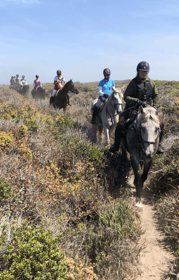 Vrede en Lust Wine Estate: 2H Horse Trail - What the $180 price includes