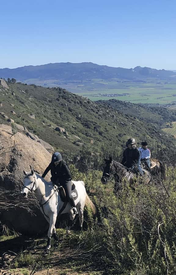 Vrede en Lust Wine Estate: 2H Horse Trail - Finishing at Lust Bistro & Bakery