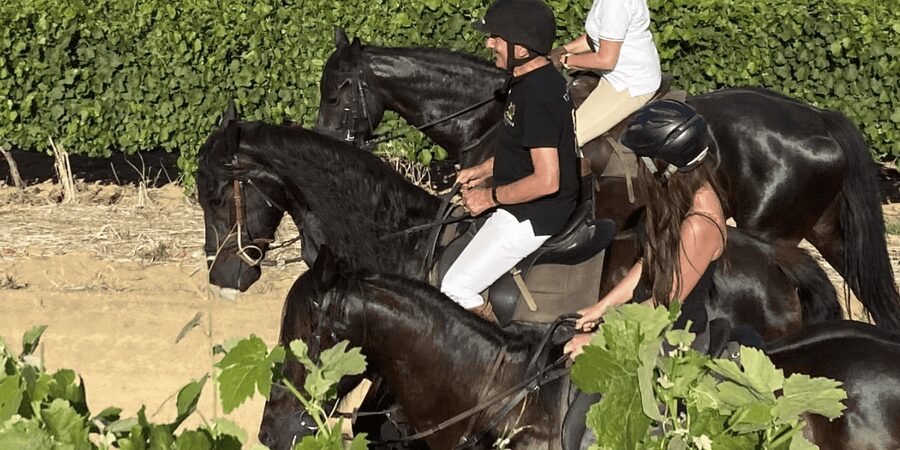 Vrede en Lust Wine Estate: 2H Horse Trail - Arrival, roadworks, and timing