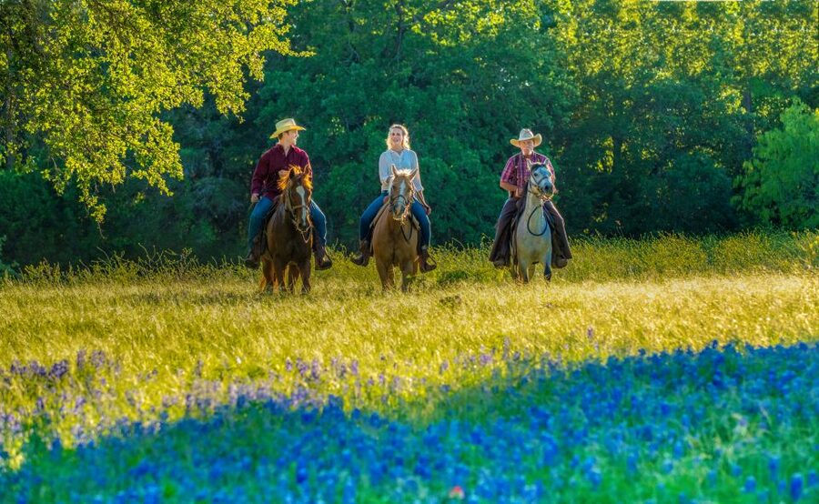 Waco: Horseback Riding Tour with Cowboy Guide - Arriving at Brazos Bluffs Ranch
