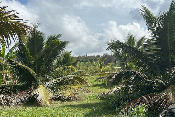 Waipi’o on Horseback: Mountain Ocean Views Working Cattle Ranch - Fruit Tasting and Ranch Life