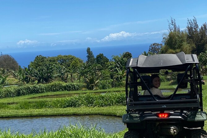 Waipi’o on Horseback: Mountain Ocean Views Working Cattle Ranch - Horses That Suit First-Time Riders