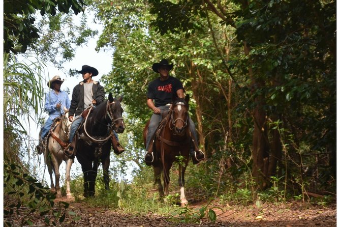 West Maui Mountain Waterfall and Ocean Tour via Horseback - Starting at the Wailuku meeting point