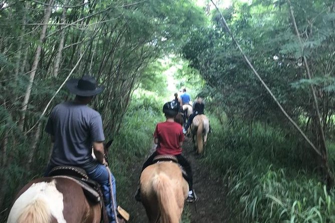 West Maui Mountain Waterfall and Ocean Tour via Horseback - The ranch animals add real charm