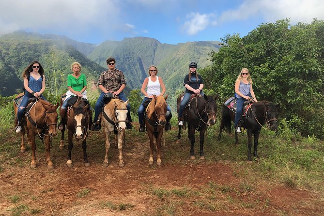 West Maui Mountain Waterfall and Ocean Tour via Horseback - What the guides do well
