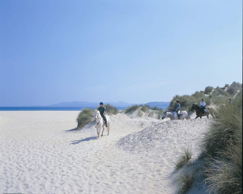 Westport: Beach and Countryside Guided Horse Ride - Meeting the horses at Carrowholly Stables