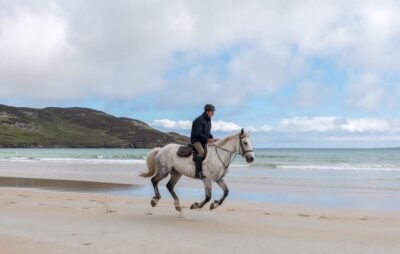 Westport: Beach and Countryside Guided Horse Ride