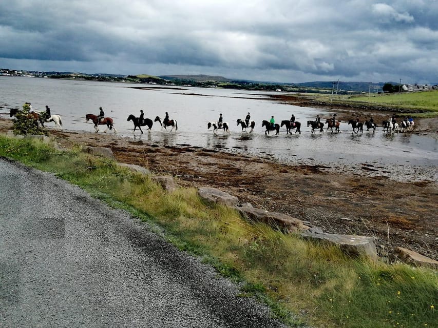 Westport: Beach and Countryside Guided Horse Ride - Seals Rock and the value of a quiet approach