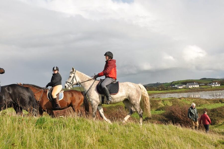 Westport: Beach and Countryside Guided Horse Ride - How the guide shapes the experience