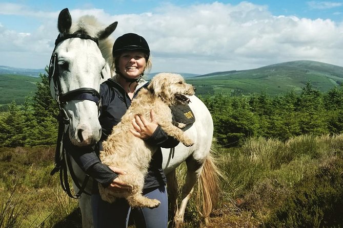 Wicklow Mountains Horse Trekking - Riding into the Wicklow countryside
