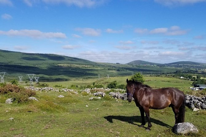 Wicklow Mountains Horse Trekking - Ray, Lisa, Nicole, and Jack make the difference