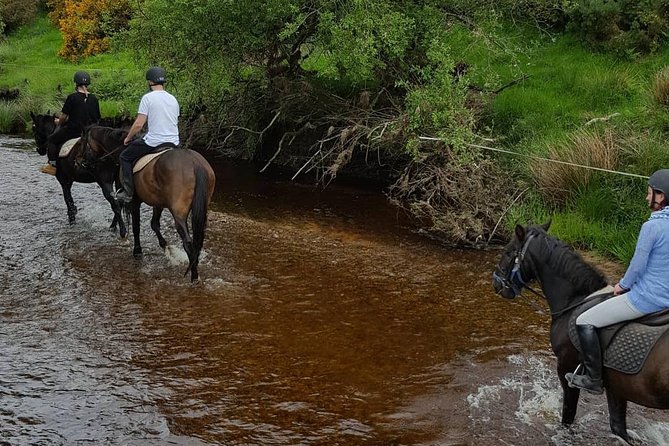 Wicklow Mountains Horse Trekking - A closer look at the 10:00 am itinerary