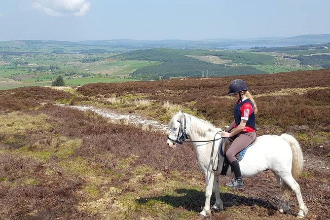 Wicklow Mountains Horse Trekking - Why the small group matters