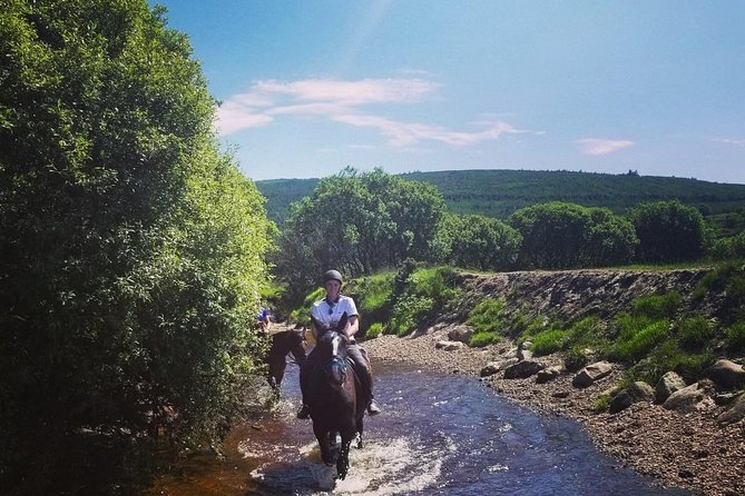 Wicklow Mountains Horse Trekking - Is $90.70 a fair price?