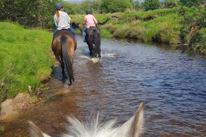 Wicklow Mountains Horse Trekking - Weather, comfort, and planning