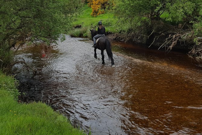 Wicklow Mountains Horse Trekking - The short lesson before the trail