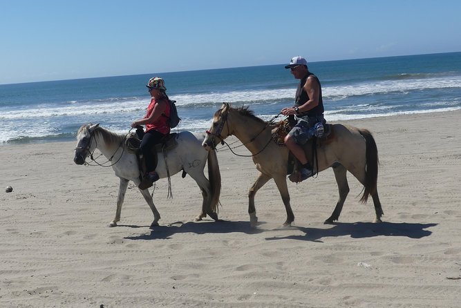 Wild & Free: Lagoon Boat, Beach Horseback, Crocs & Turtle Release - Why this Acapulco day trip feels different