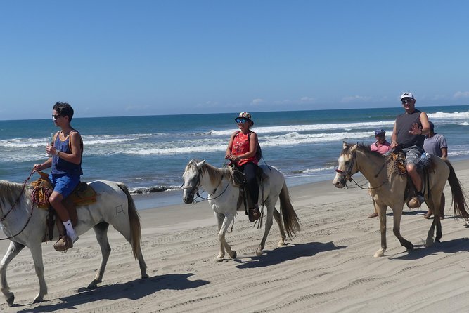 Wild & Free: Lagoon Boat, Beach Horseback, Crocs & Turtle Release - Releasing a baby turtle into the Pacific