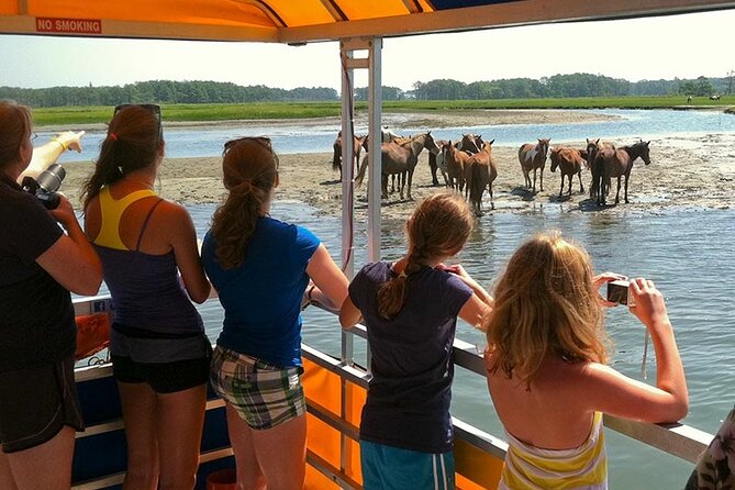 Wild Pony Watching Boat Tour from Chincoteague to Assateague - Weather, cancellations, and practical planning