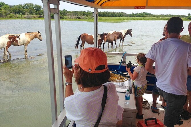 Wild Pony Watching Boat Tour from Chincoteague to Assateague - Who will enjoy this Chincoteague cruise?