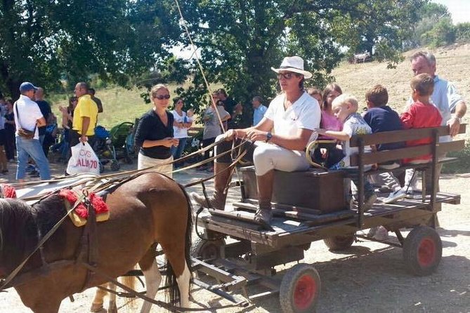 Wine tasting and horseback riding in Montepulciano, in Tuscany from Rome - From Rome to Montepulciano by private car