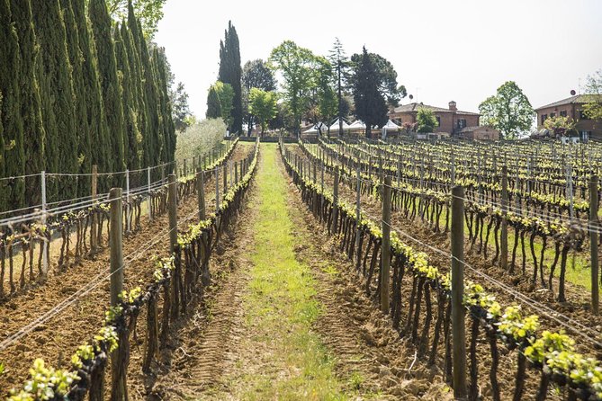 Wine tasting and horseback riding in Montepulciano, in Tuscany from Rome - What the private format changes