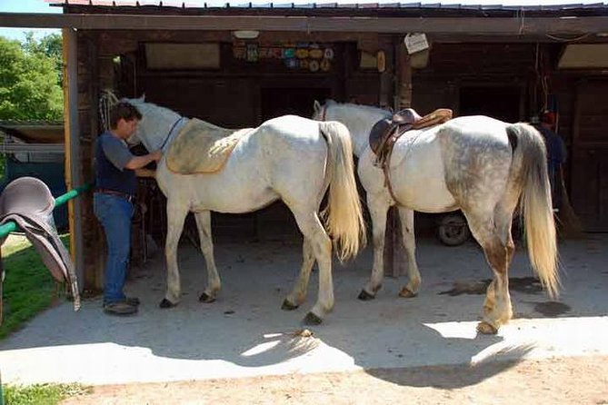 Wine tasting and horseback riding in Montepulciano, in Tuscany from Rome - Is $503.56 a fair price?