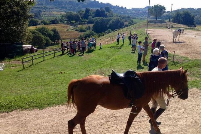 Wine tasting and horseback riding in Montepulciano, in Tuscany from Rome - Montepulciano, a hill town with wine in its streets