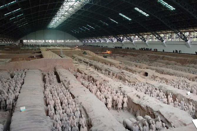 Xi'an Half-Day Private Tour of Terracotta Warriors and Horses Museum - Morning or afternoon: which departure should you choose?