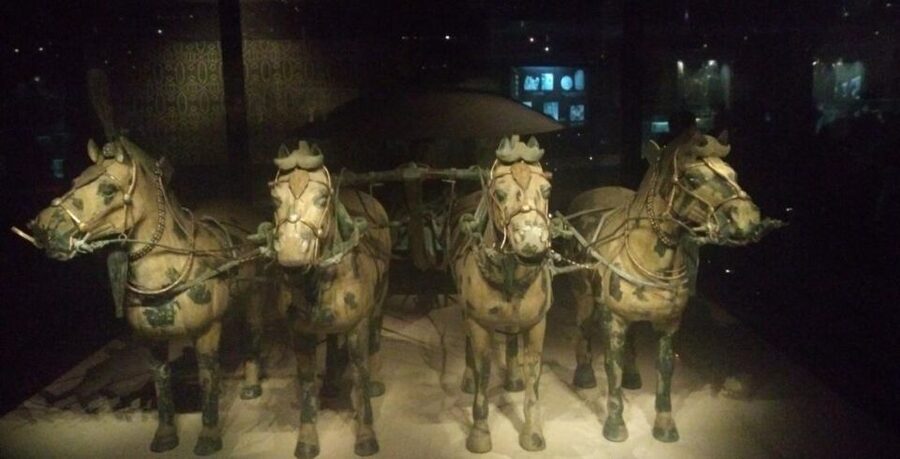 Xi'an: Half-Day Terracotta Warriors & Horses Museum Tour - What the past guide experiences tell you